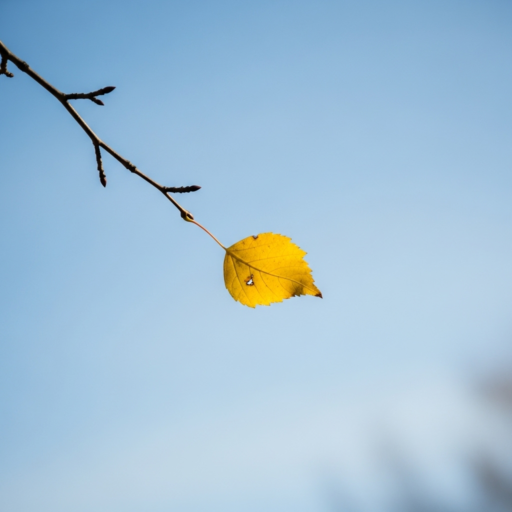일엽지추 A single yellow autumn leaf falling gracefully from a tree branch against a soft blue sky background, representing the concept of early signs and subtle changes in nature
