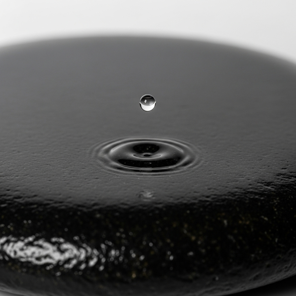 A single drop of water falling repeatedly onto a large, smooth stone, creating a small but visible indentation over time. The image should convey patience, persistence, and the power of small, consistent efforts. 학이시습: 배우고 익히는 당신이 얻을 5가지 놀라운 변화