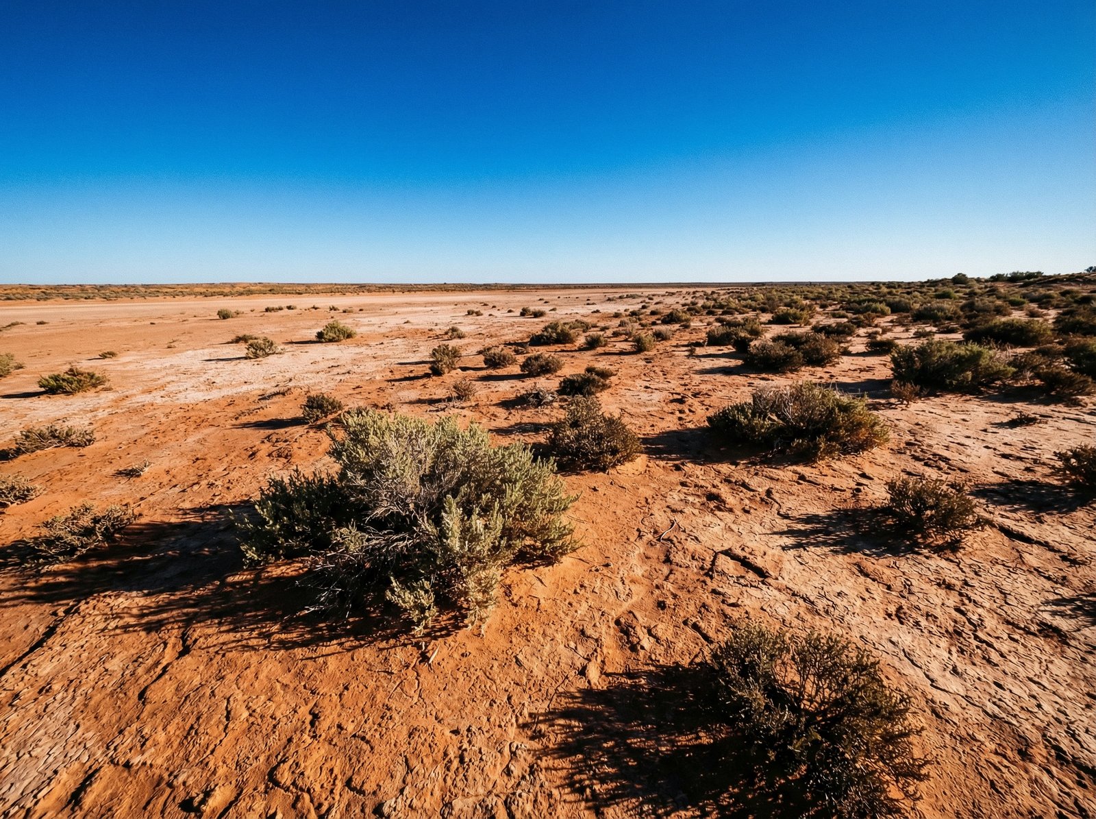 A vast and ancient dry lake landscape in Willandra Lakes Region Australia, reddish earthy soil, scattered low saltbush vegetation, wide open horizon under a clear blue sky, high contrast, wide angle shot, 4:3, no text