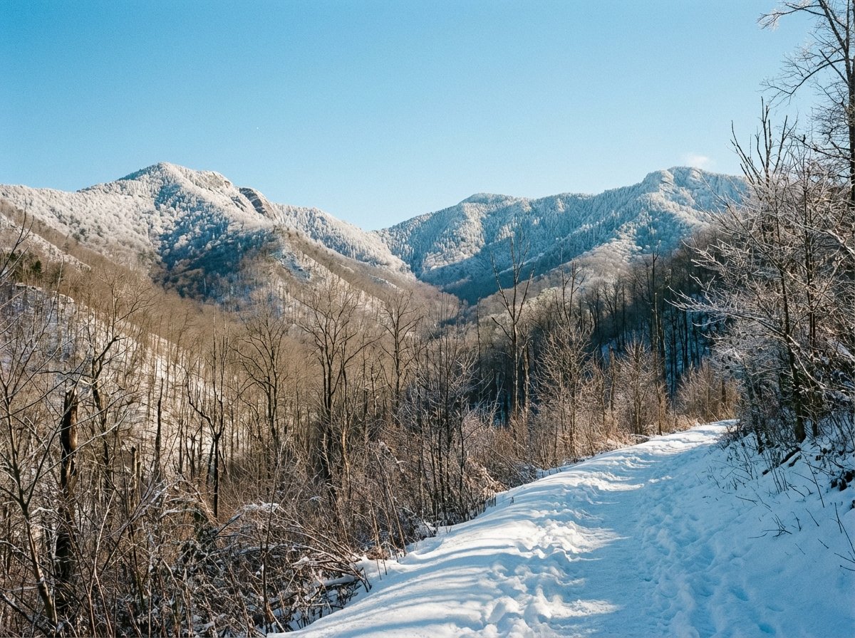 A serene winter landscape in the Great Smoky Mountains National Park. The peaks are lightly dusted with snow, and the bare trees create a delicate silhouette against a clear blue sky. A quiet hiking trail leads into the mountains. The atmosphere is peaceful and cold. 4:3